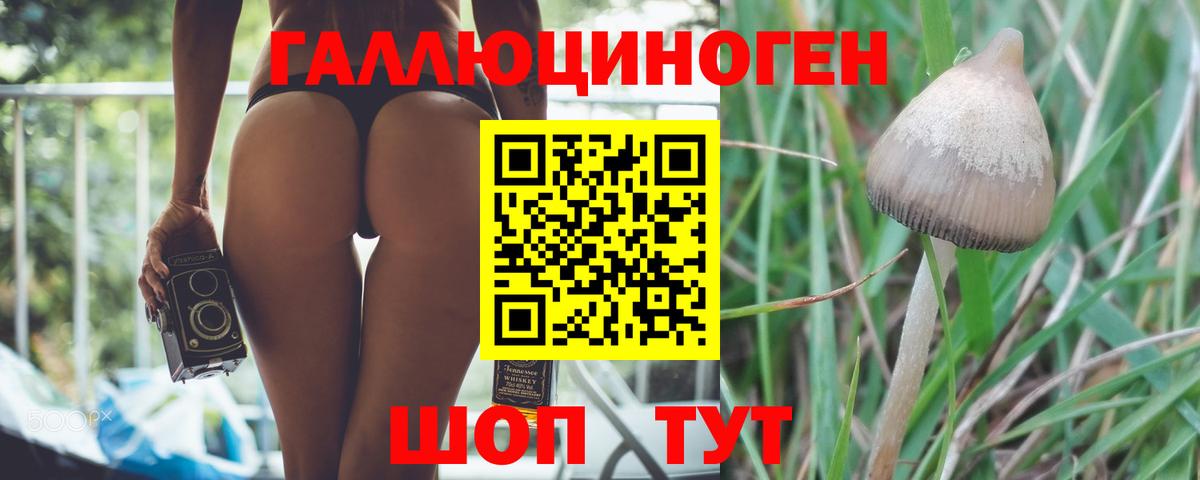 где продают наркотики  Псилоцибиновые грибы мухоморы  Вход с VPN  Советская Гавань 