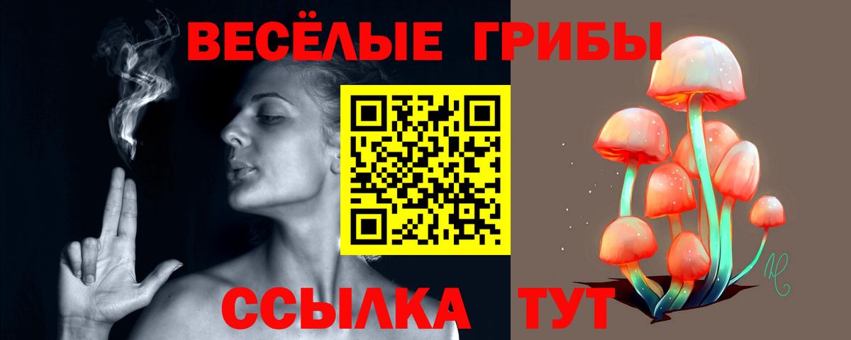 Галлюциногенные грибы мицелий Советская Гавань